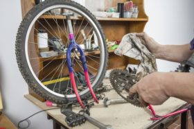 bike tune up near me