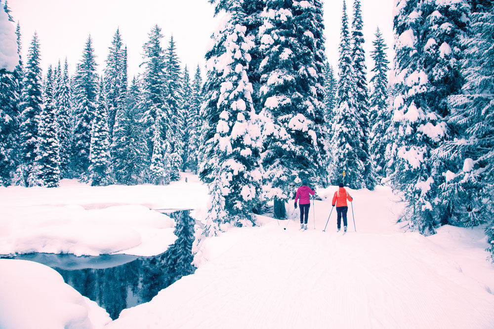 Hit the CrossCountry Ski Trails in Fernie Avenue Calgary