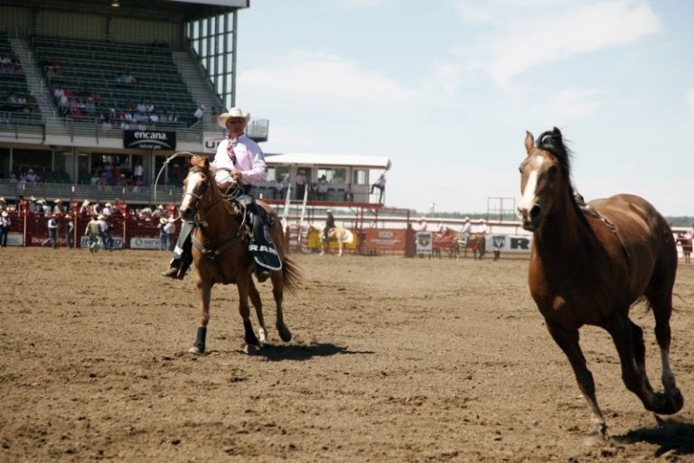 19 SmallTown Summer Rodeos in Alberta Avenue Calgary