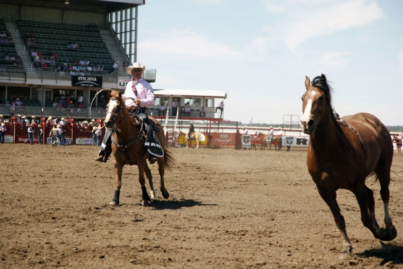19 SmallTown Summer Rodeos in Alberta Avenue Calgary