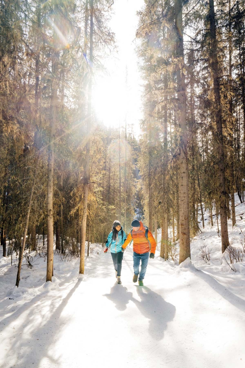 5 Great Winter Hikes Near Calgary - Avenue Calgary