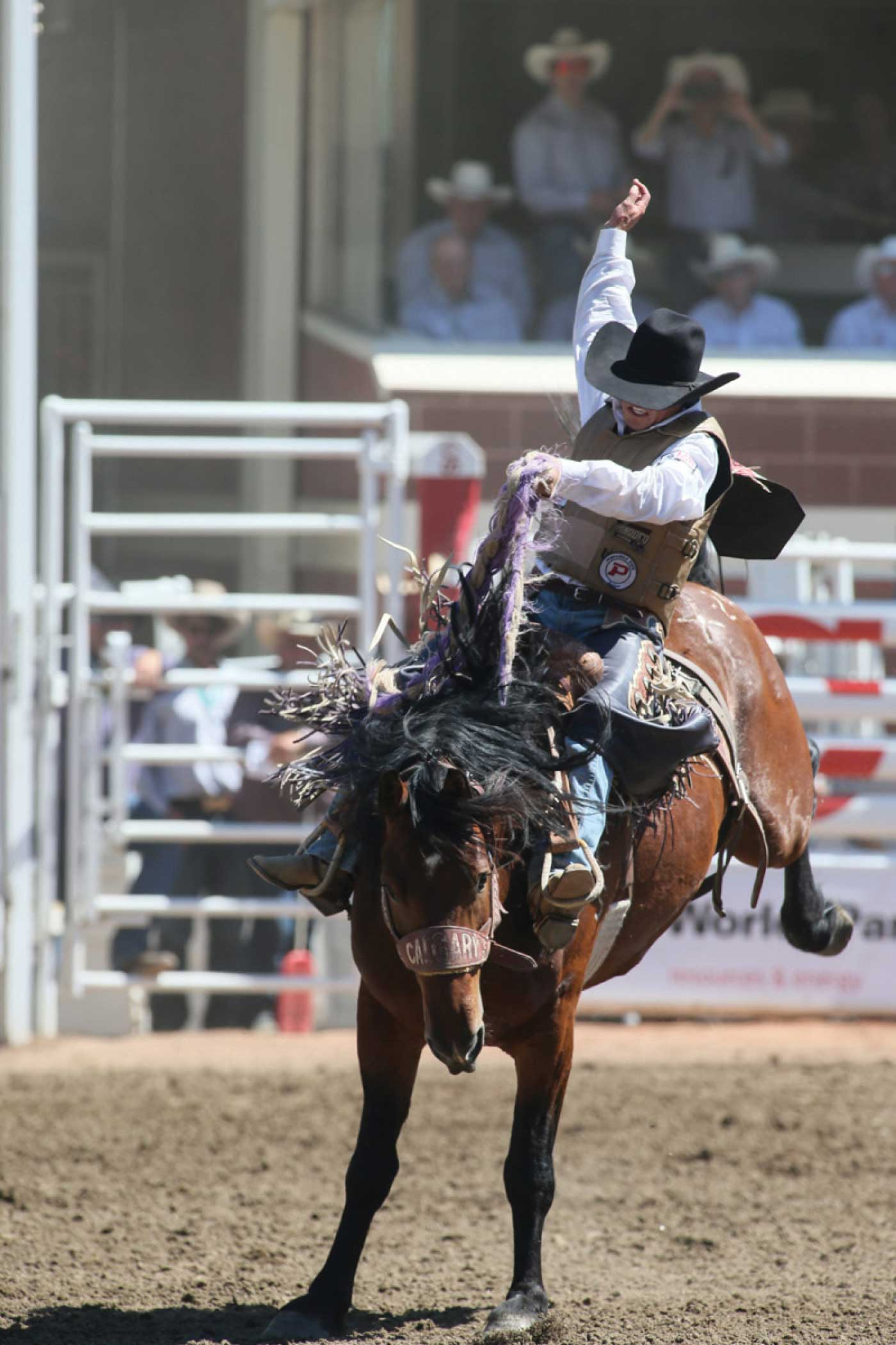 30 Things to Do During the 2019 Calgary Stampede | Avenue Calgary