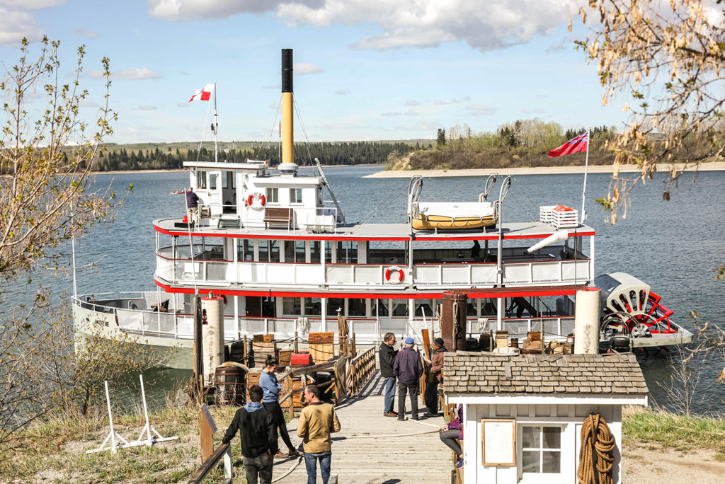 things to do in calgary new year's day