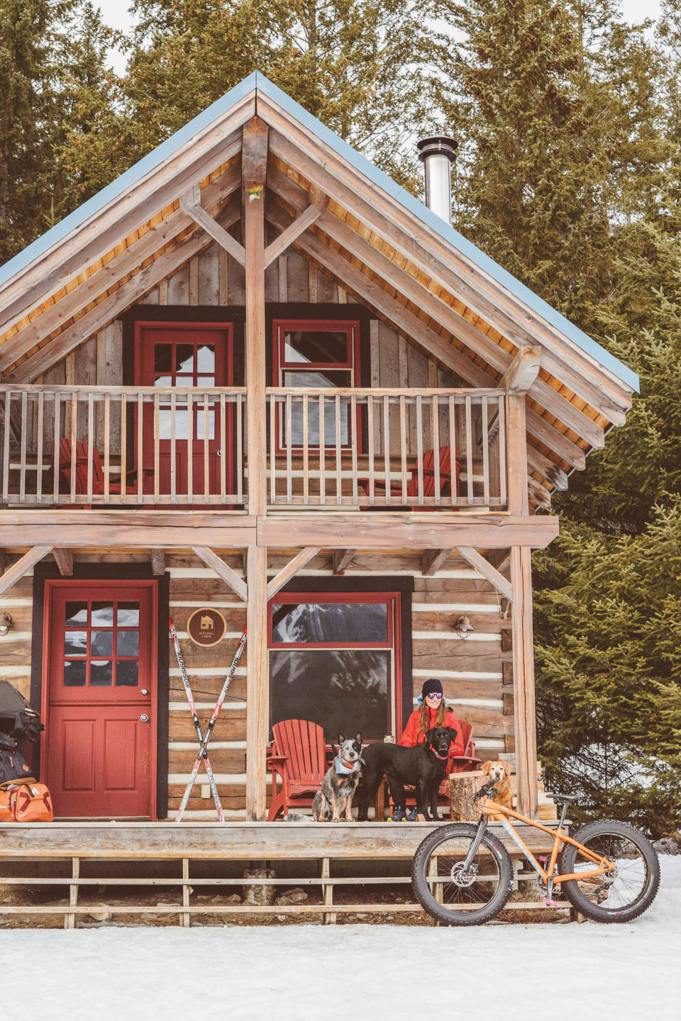 The DogFriendly Mountain Resort to Visit This Winter Avenue Calgary