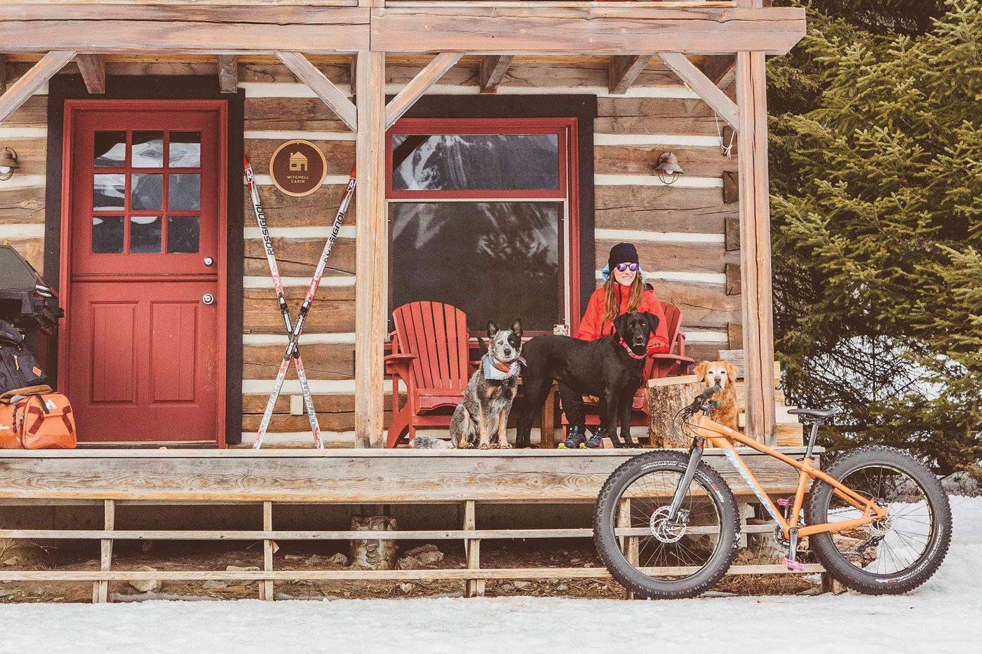 The DogFriendly Mountain Resort to Visit This Winter Avenue Calgary