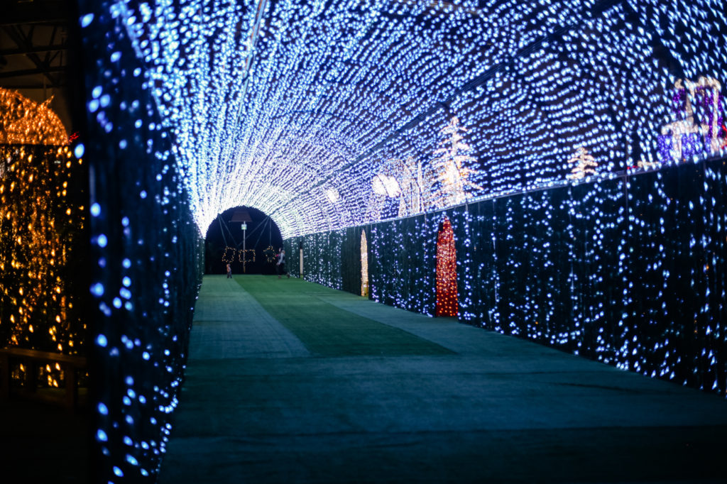 What to Expect at the Noël Indoor Christmas Light Park Avenue Calgary