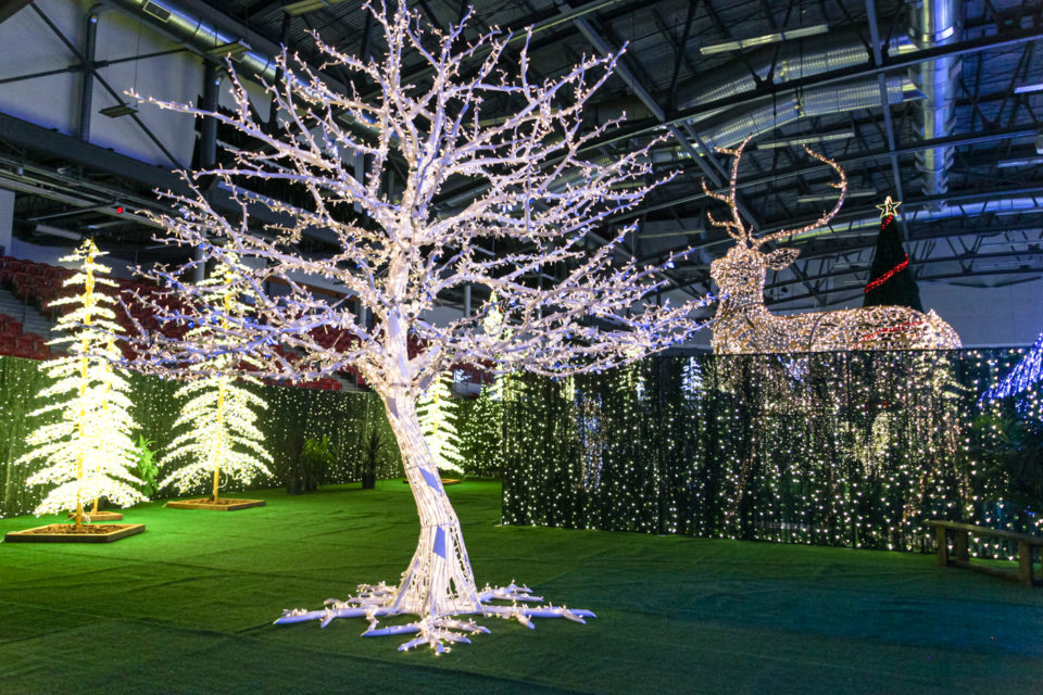 What to Expect at the Noël Indoor Christmas Light Park Avenue Calgary