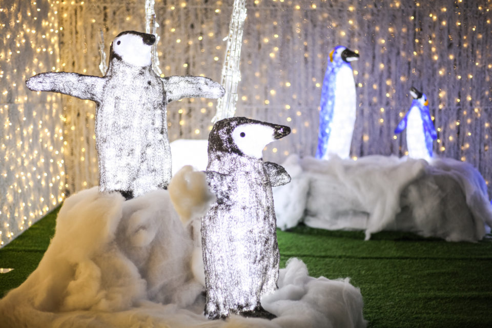 What to Expect at the Noël Indoor Christmas Light Park Avenue Calgary