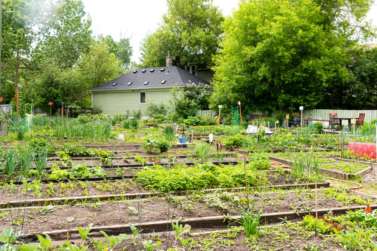 Top 5 Neighbourhoods in Calgary Avenue Calgary