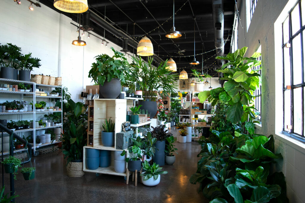 Inside Plant Plant, a New Plant Destination Near Inglewood Avenue Calgary