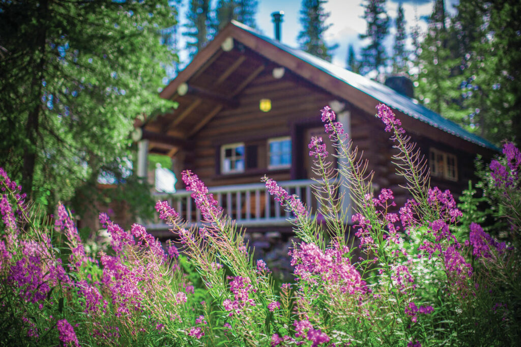 The Differences Between Cabins And Chalets vrogue.co