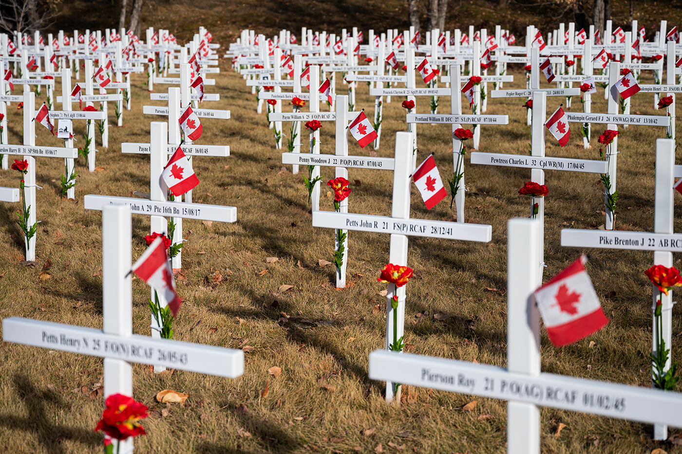 2024 Remembrance Day Ceremonies and Activities Happening in Calgary Avenue Calgary