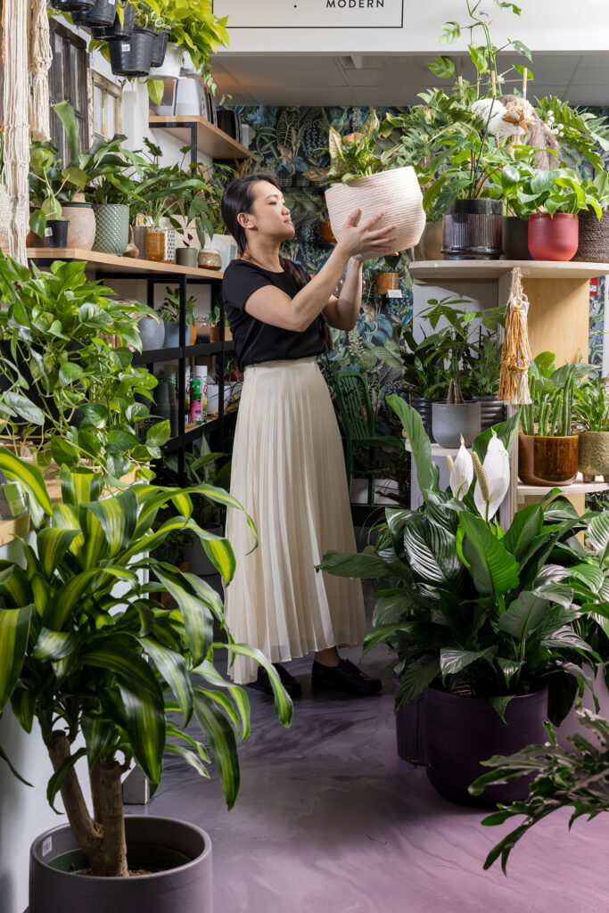 Calgary Experts on Bringing Plants Into Indoor Living Spaces Avenue Calgary