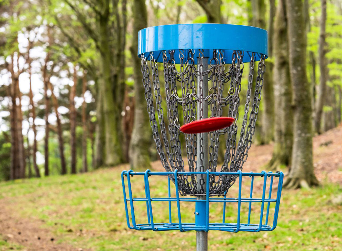 Could Your Community Use a Disc Golf Course?