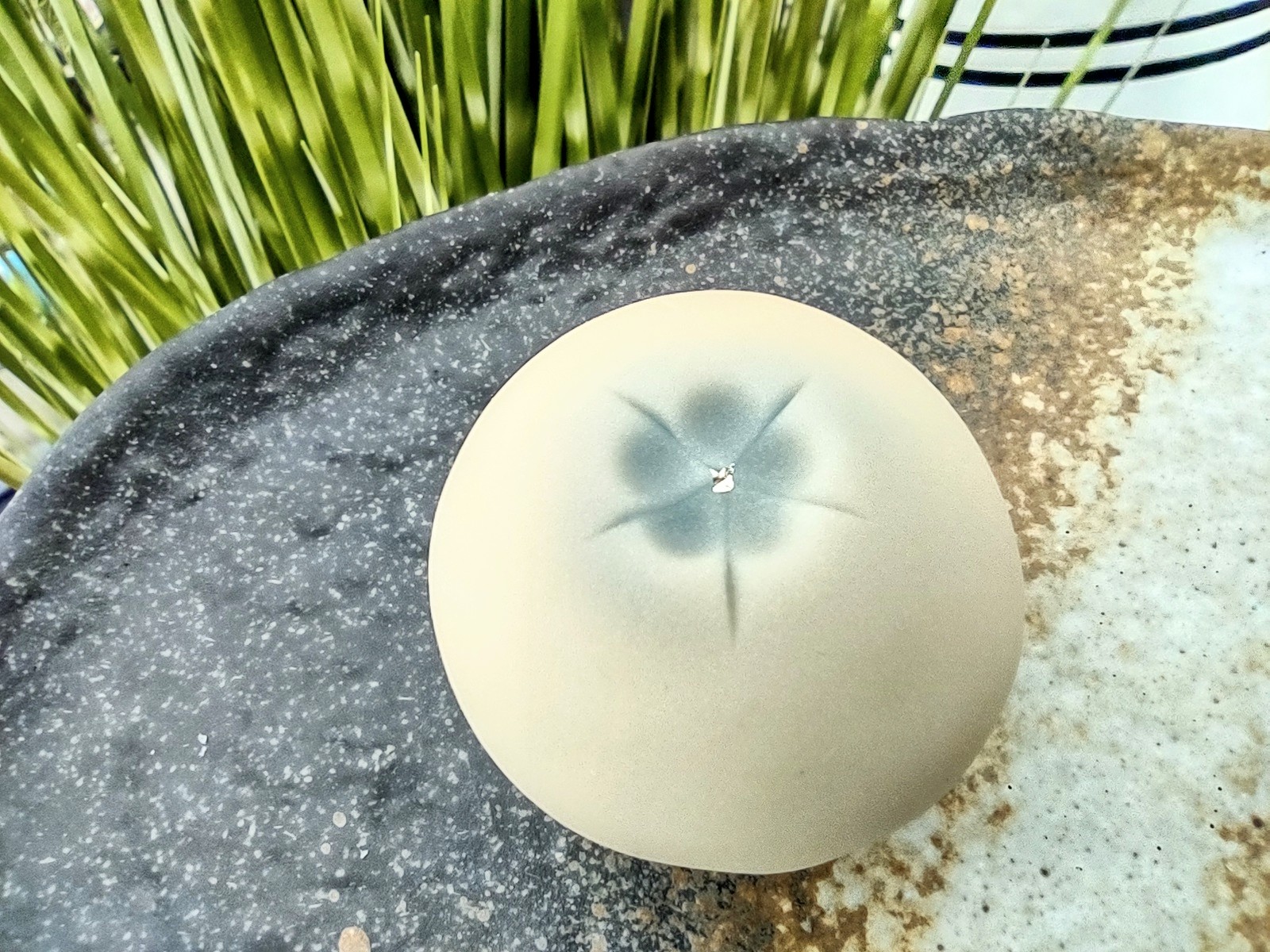 Worth the Drive Wagashi at Wagashi Tea House in Canmore Avenue Calgary