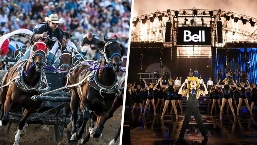 What’s New at the 2022 Calgary Stampede LaptrinhX / News