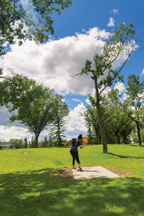 Calgary’s Best HiddenGem Neighbourhood LaptrinhX / News