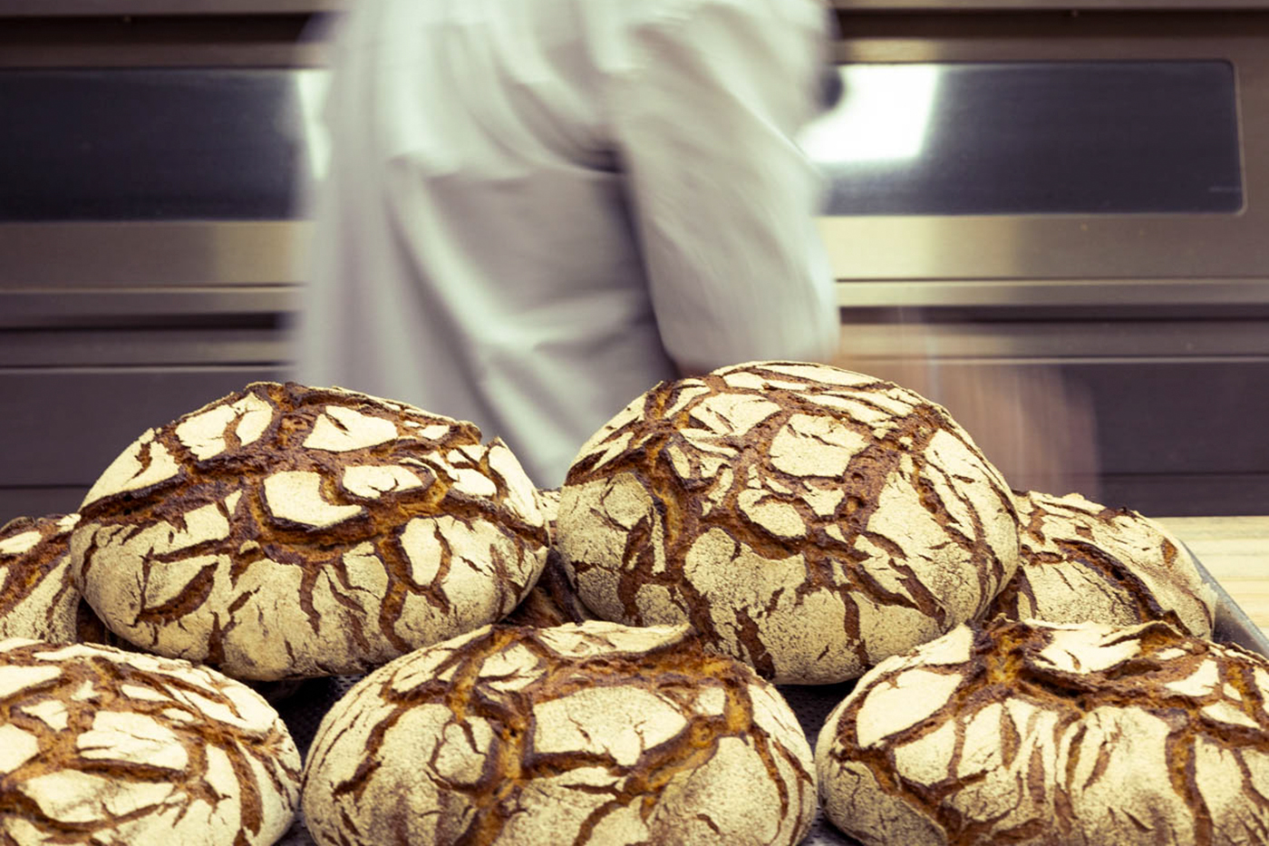 A Toast to Bread A Look at Some of the Best Breadmakers in Calgary