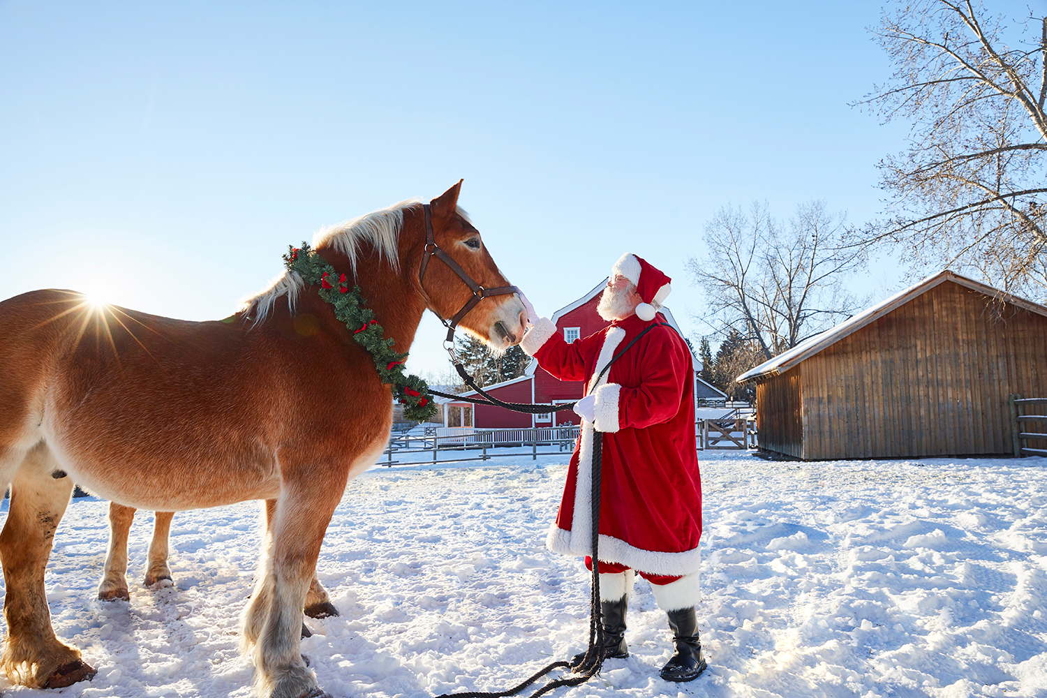 Celebrate Christmas the OldFashioned Way at Heritage Park Avenue Calgary