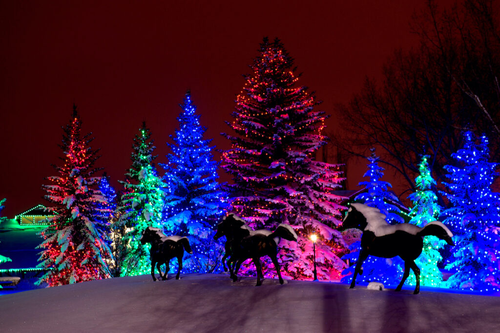 Check Out the Christmas Light DriveThrough at Spruce Meadows Avenue