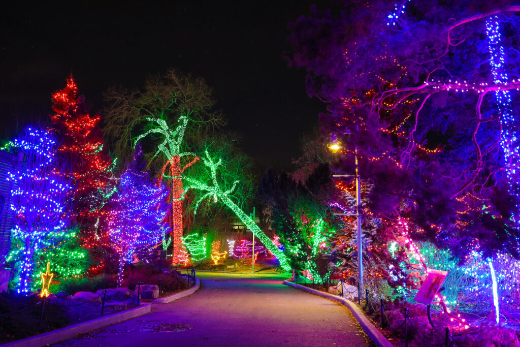 20 Best Things to Do in Calgary This December Avenue Calgary