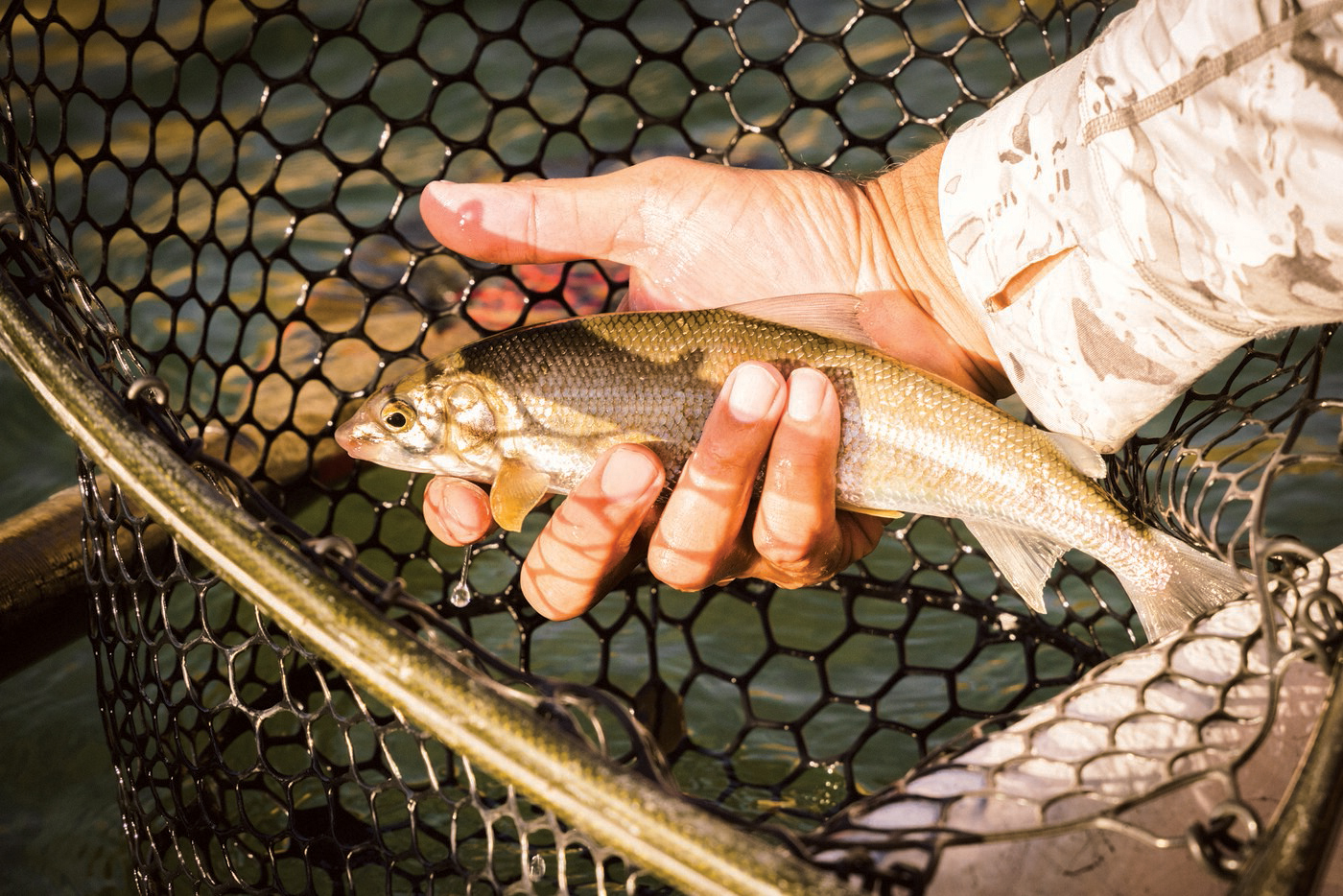 Indigenous Fly Fishing Guide Quinn Soonias Offers Connection