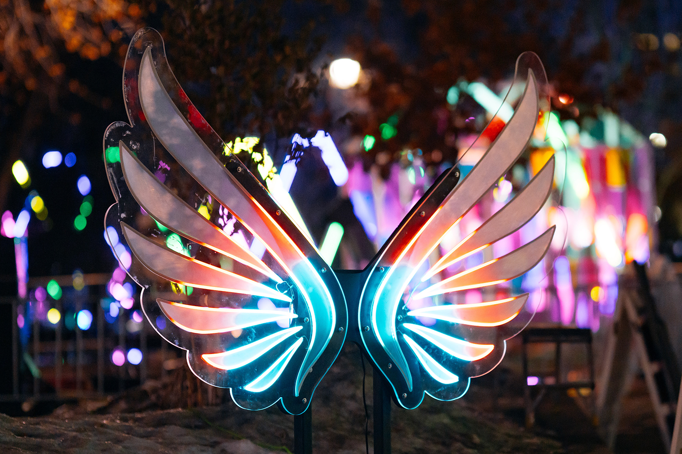 night light festival calgary