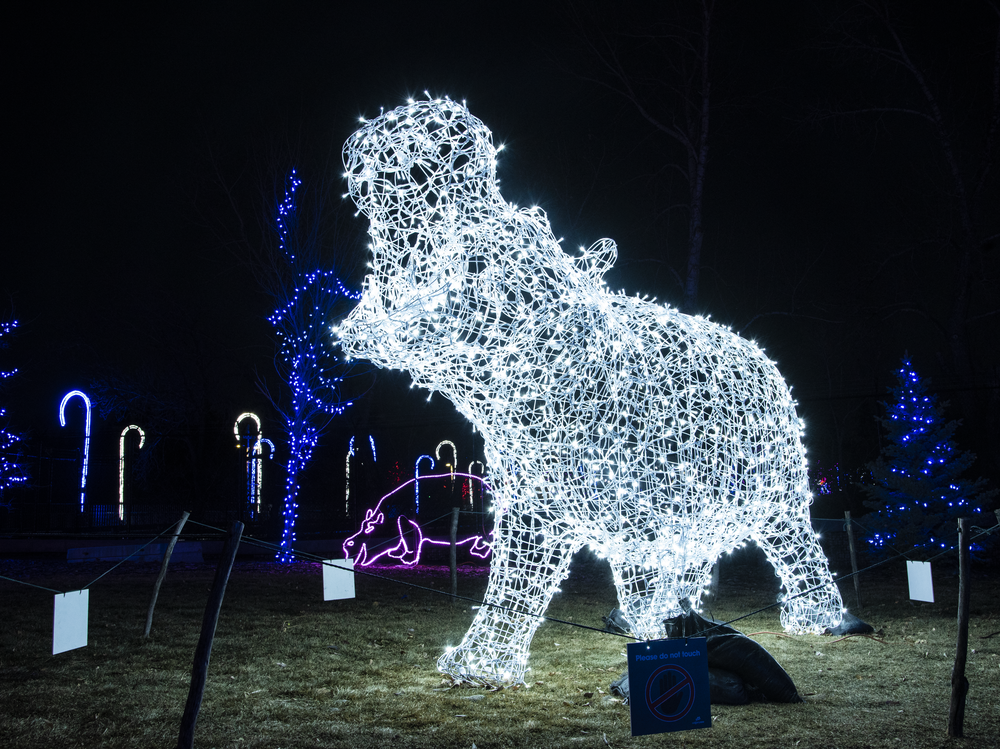 Win Tickets to the Best Holiday Light Display in Calgary (and See the