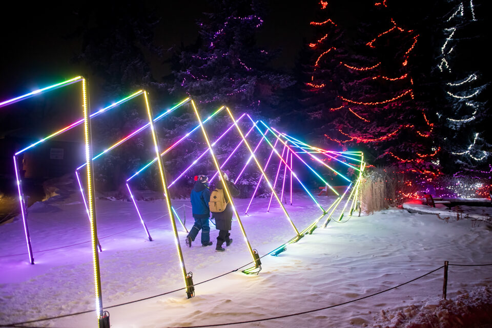 Calgary Zoo Lights 2024 Linnell