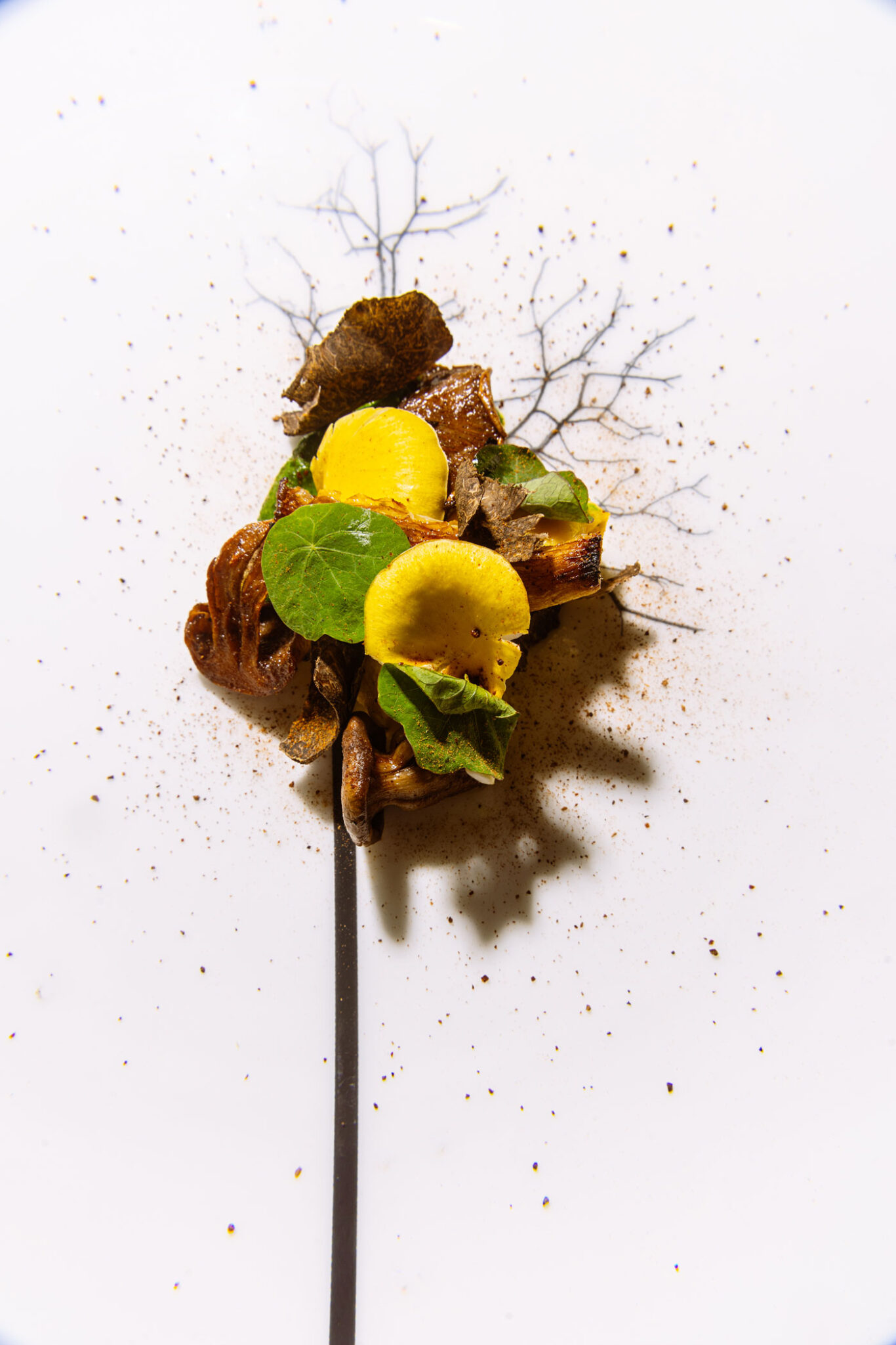 Truffle mushroom omelette with bluefoot chanterelles and kale purée.