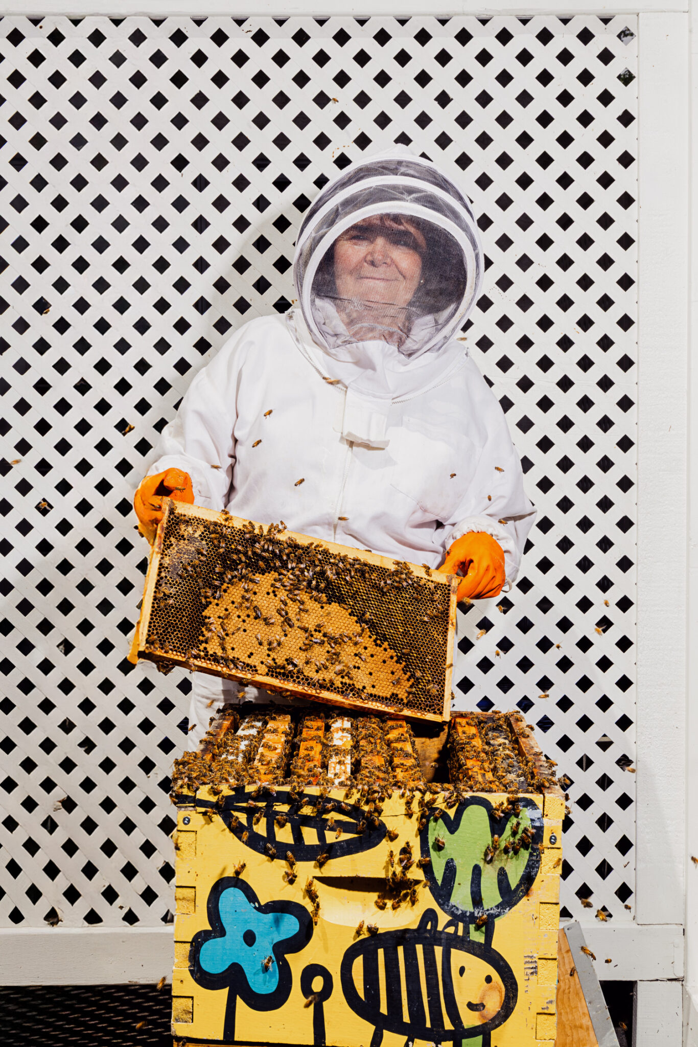 A beekeeper holds a tray filled with bees over her honeybee hive.