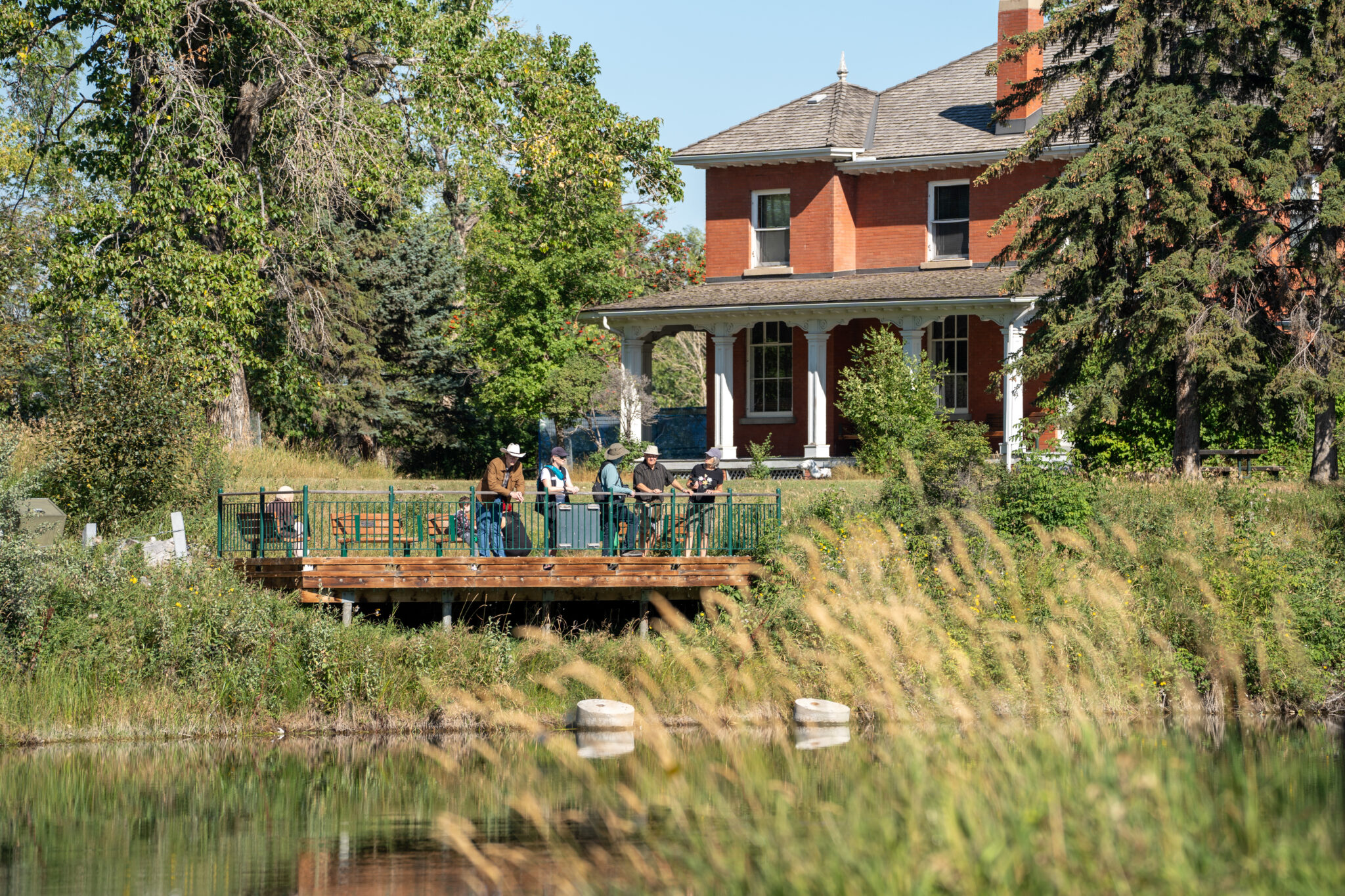People stand on a lookout dock overlooking the water at a bird sanctuary.