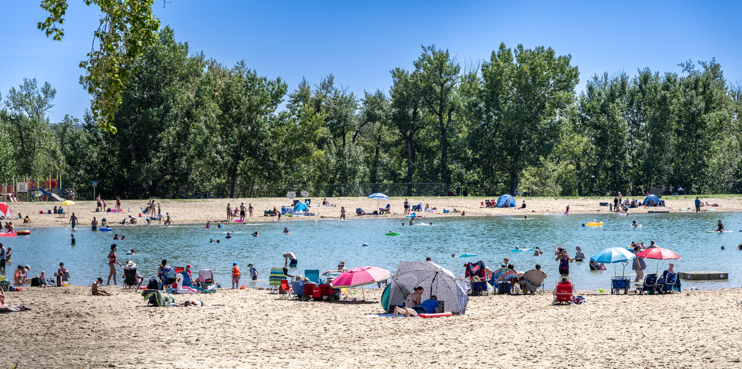 People sitting on the beach near water and trees.