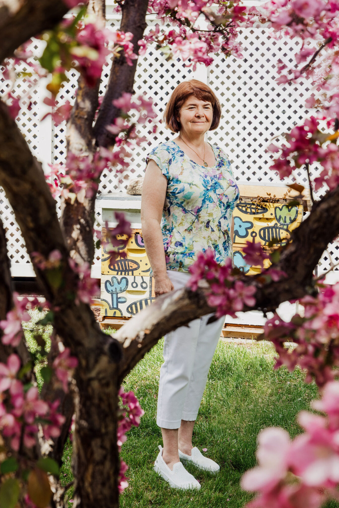 A tree frames an image of a woman standing in front of some bee hives.