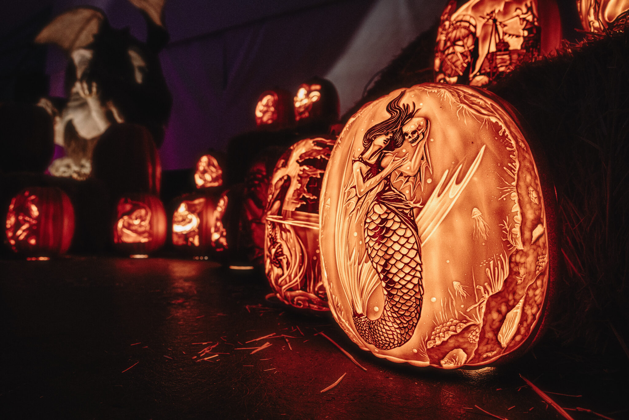 4 Fun Things to Do in Calgary This October - Avenue Calgary