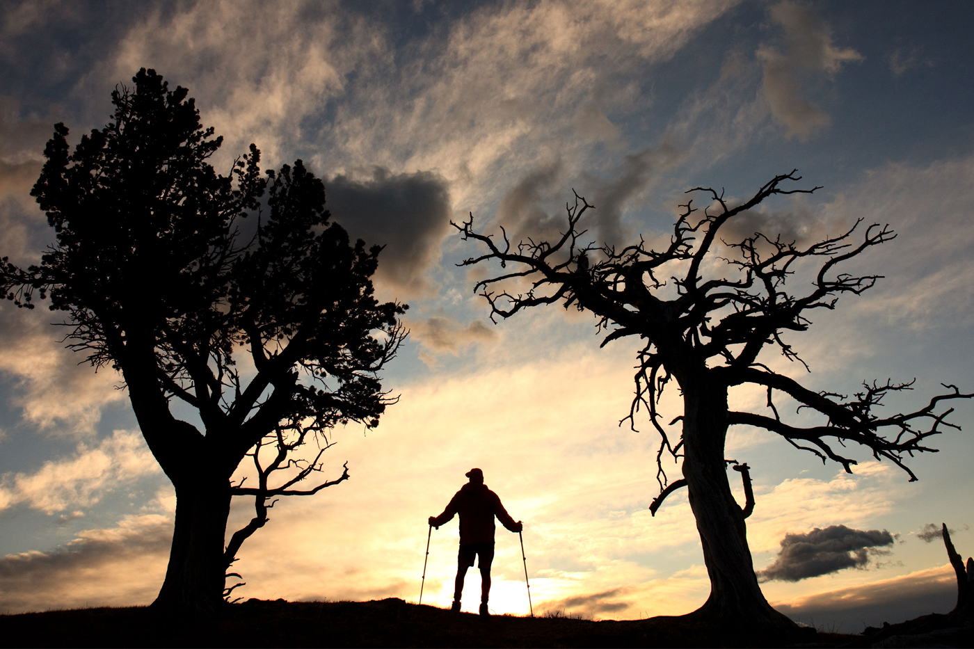 A silhouette of an individual stands between two trees during sunset.