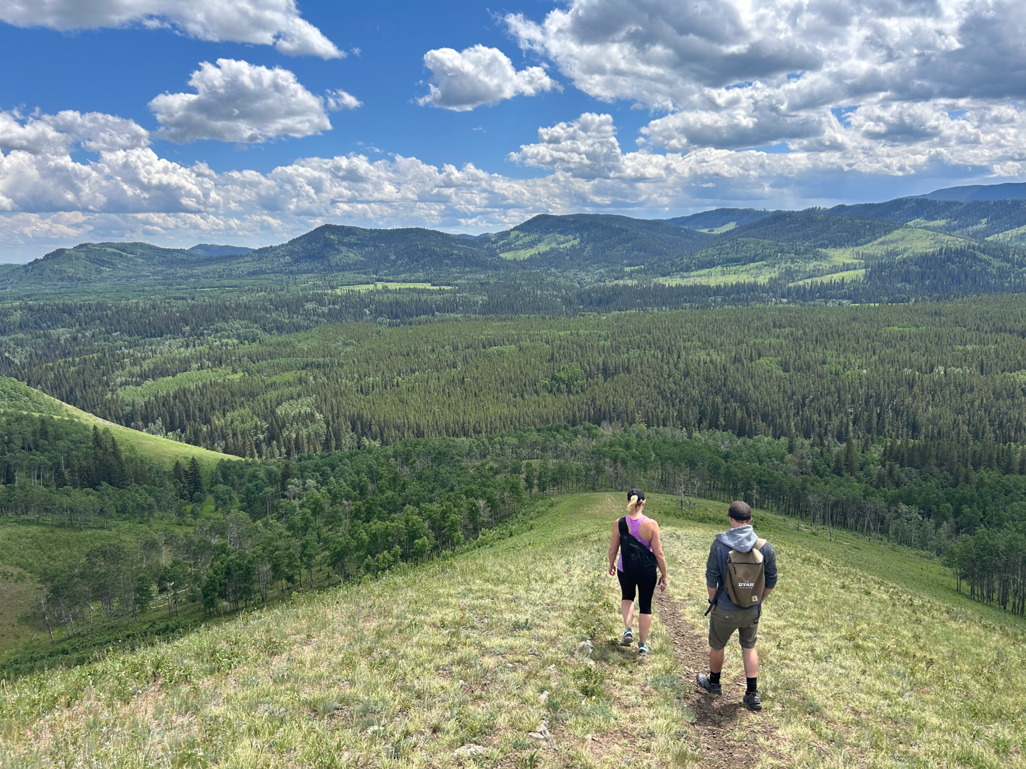 Two hikers walking on a green hill through the mountains.