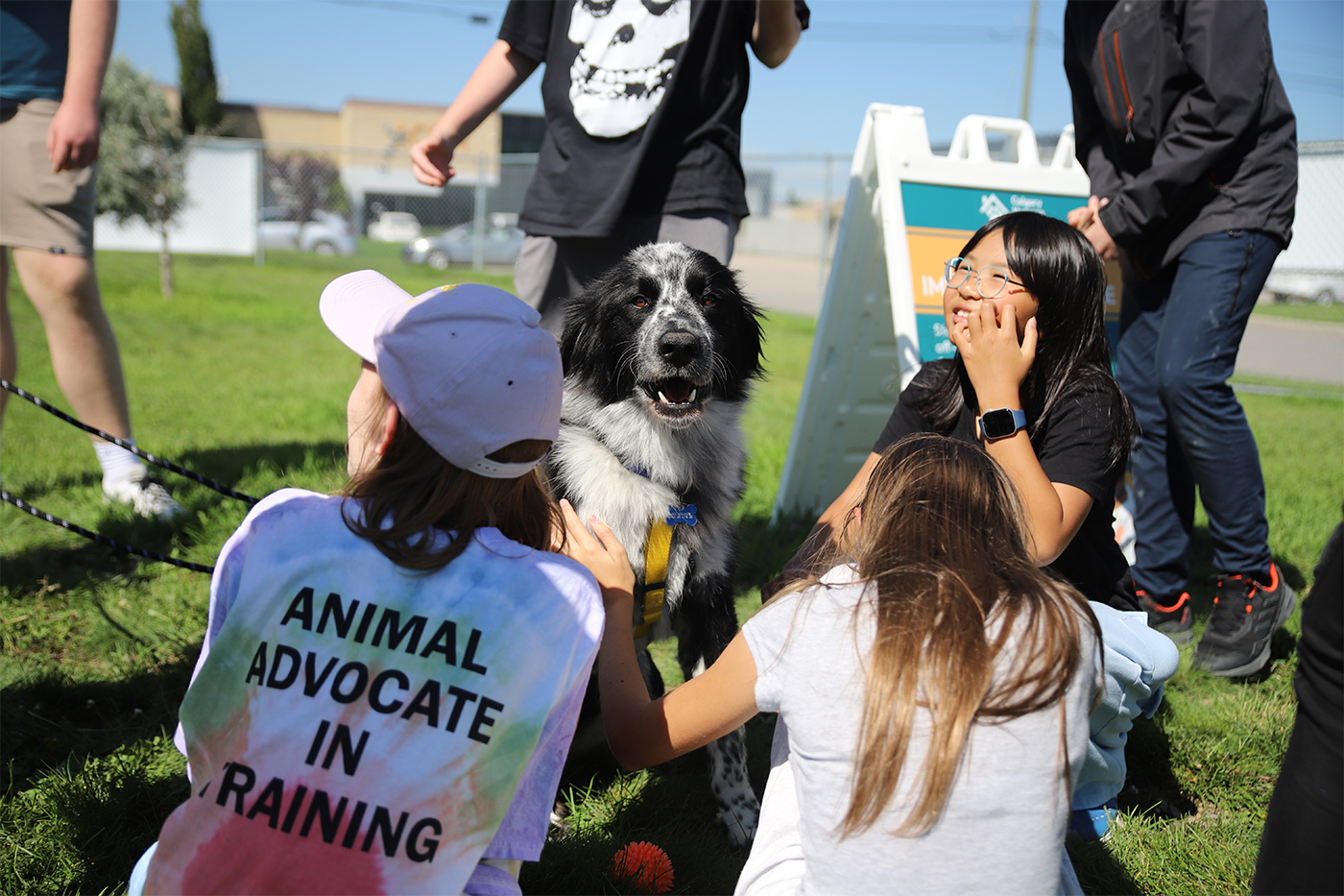 Children sit and stand beside a dog