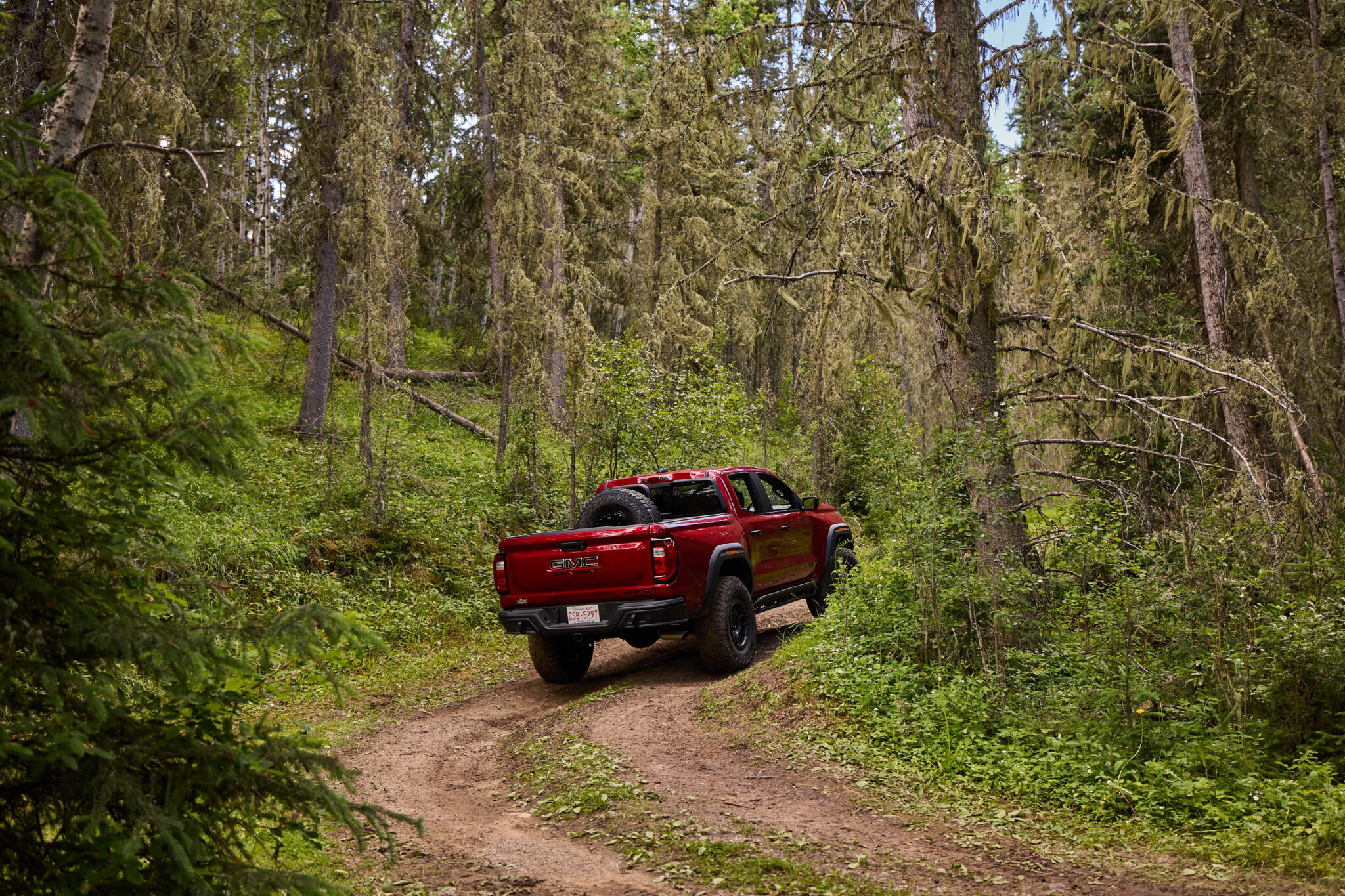 Comfort and Capability for Any Adventure - Avenue Calgary
