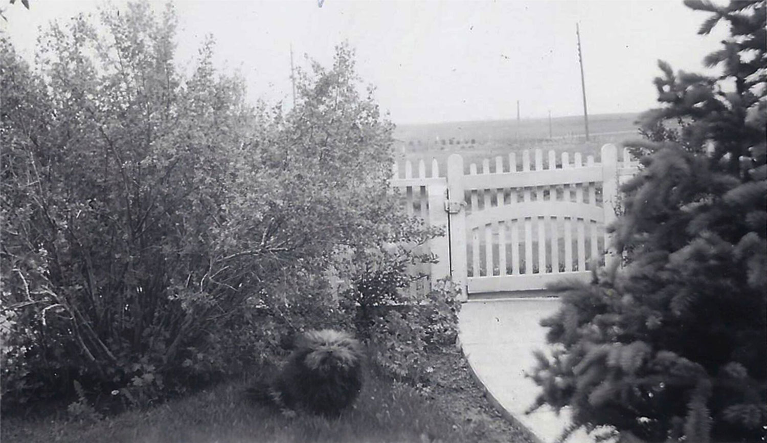 Looking south across the Kellys' front yard (past Babs the dog) toward the future site of Lee's Grocery Store, circa 1940. 