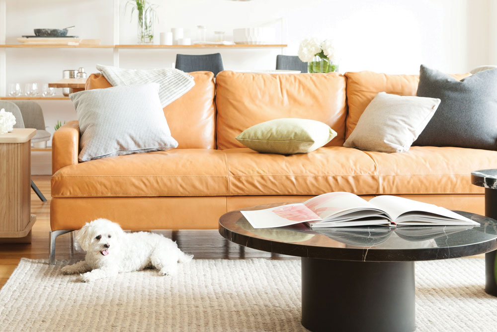 How To Buy A Sofa For Every Budget Avenue Calgary