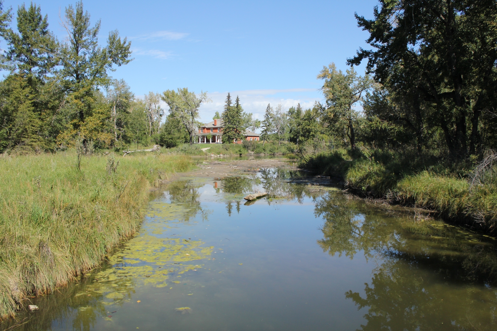 The Inglewood Bird Sanctuary is open to the public year round and currently has two trails reopened since the 2013 flood.