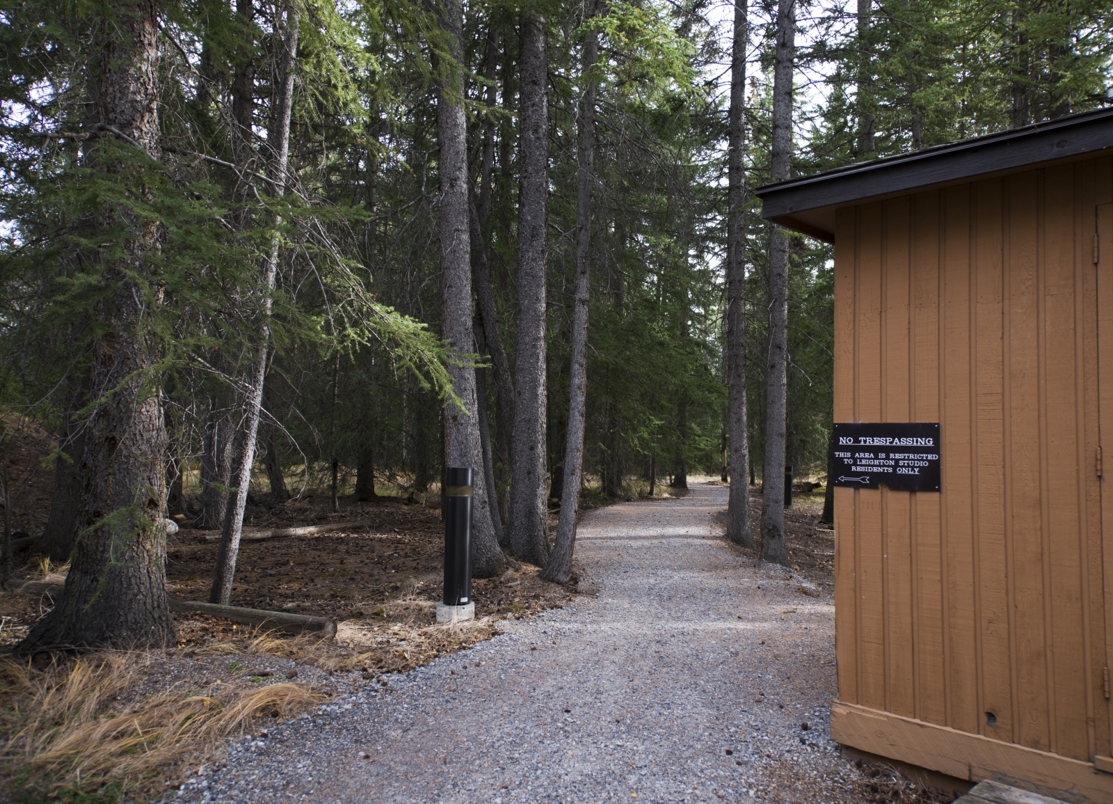 There are nine unique studio buildings scattered about a densely forested patch of land on Tunnel Mountain. It's part of the Banff Centre, but set apart. In order to provide resident artists the most distraction-free workspace possible, non-essential visits to the colony are discouraged. If you must wander through, be sure to tiptoe!