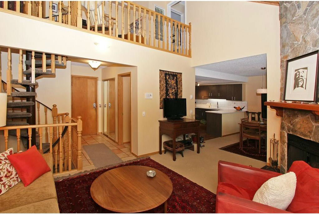 The living room has a wood burning fireplace and a skylight on the vaulted ceiling.